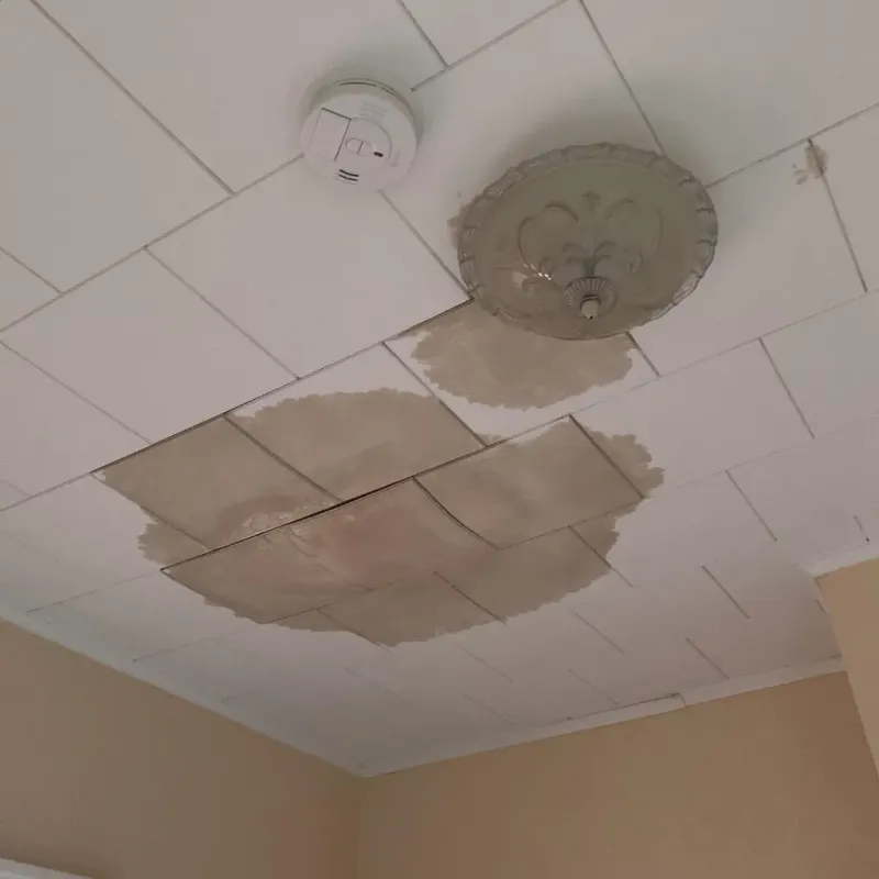 Ceiling Water Damage Repair in Checotah, OK