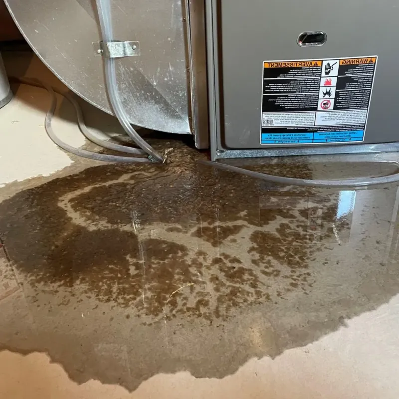 Pipe Burst and Leak Restoration in Checotah, OK