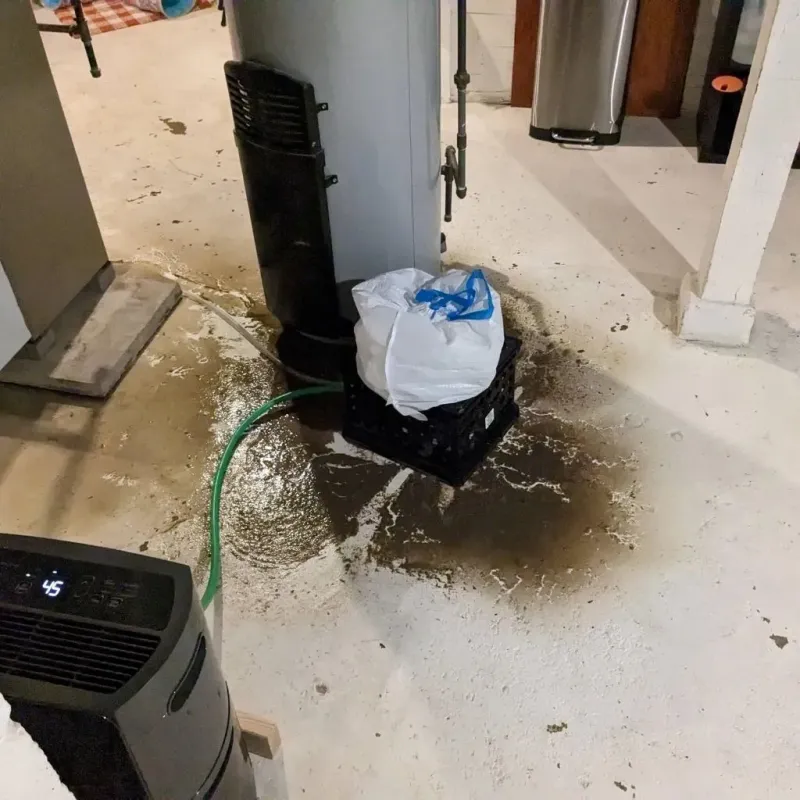 Sewage Backup Cleanup Service in Checotah, OK